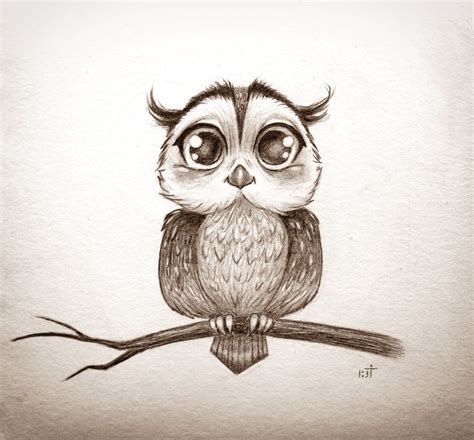 Step By Step Instructions To Draw Cute Owl Like A Pro