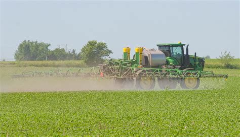 Recognizing And Reporting Dicamba Damage