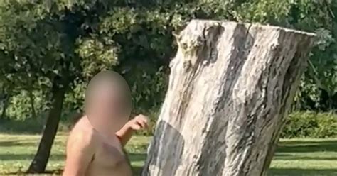 Naked Man Arrested After Being Filmed Having Sex With Tree In Middle Of Uk Heatwave Daily Star