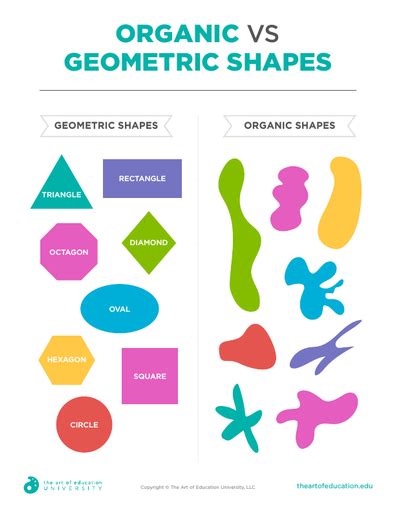 * Organic and Geometric shapes