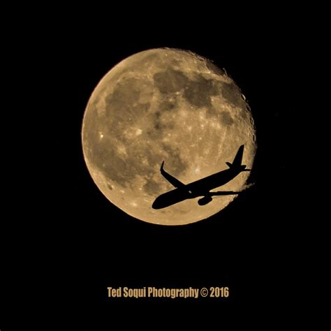 LA Photo: Fire Moon