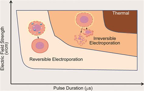 Pulsed Electric Fields For Cardiac Ablation And Beyond A State Of The