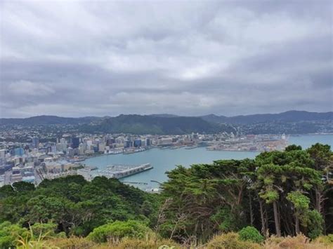 MOUNT VICTORIA LOOKOUT WALKWAY GUIDE | CHUR NEW ZEALAND