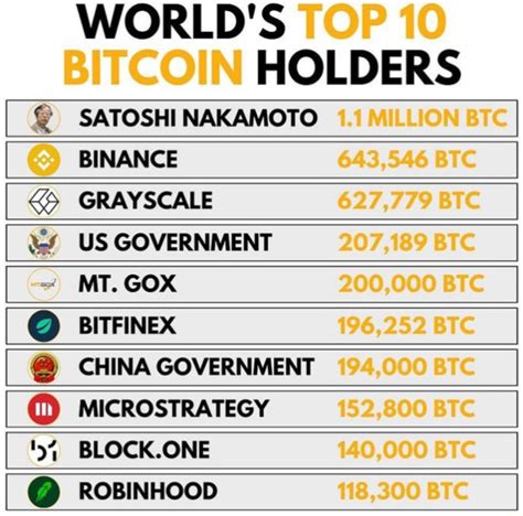 Quem são os 10 maiores detentores de Bitcoin do mundo Money Invest