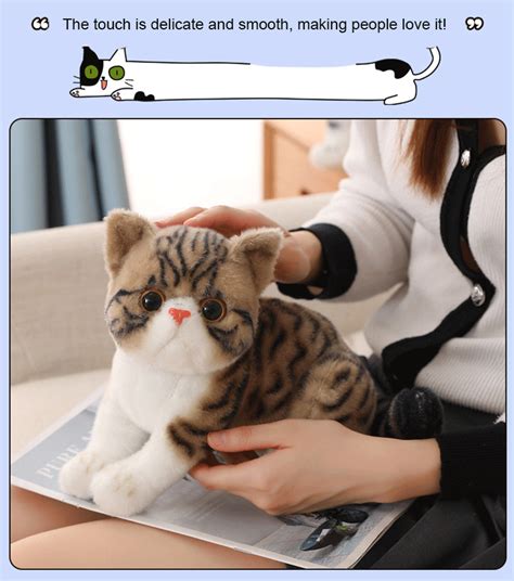 Realistic Cute Cat Stuffed Animal | Alwaysplushie