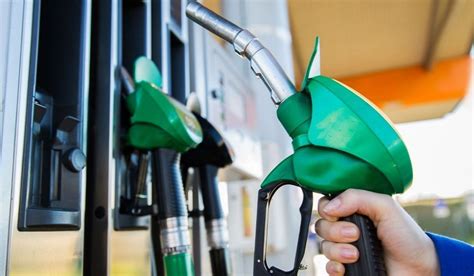 E Fuel Vs Biocarburanti Cosa Sono Differenze Pro E Contro