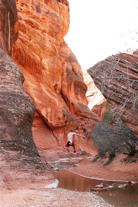 red cliffs – red reef hike – Leeds, Utah – See Jane Blog