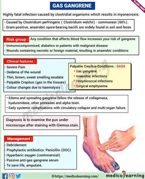 Gaseous Gangrene Causes