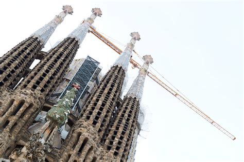 Na wieży bazyliki Sagrada Familia w Barcelonie wykluły się pisklęta