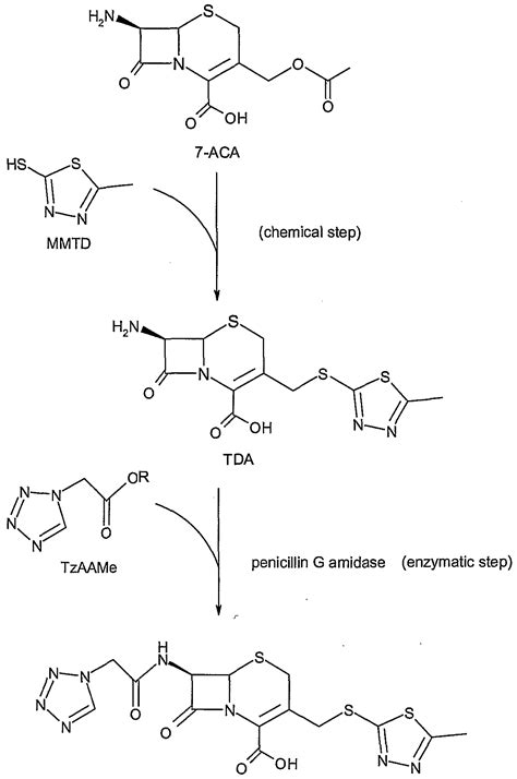 Patent EP1556500A1 Simple Enzymatic Process For Preparing Cefazolin