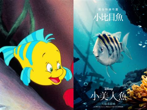 真人版《小美人魚》最新海報曝光！小比目魚、賽巴斯丁等角色的還原引熱議！ Beanfun