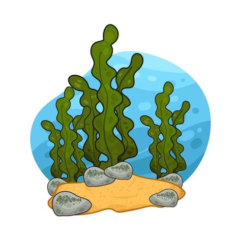 Premium Vector Seaweed