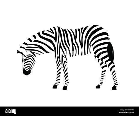 African zebra side view outline striped silhouette animal design flat