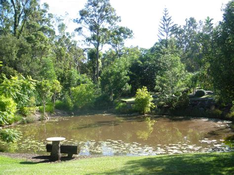 Hotel Bobrene On Tamborine Nude Holiday Resort Tamborine Qld
