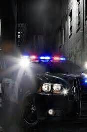 Couple Had Sex In Back Seat Of Police Cruiser The Smoking Gun