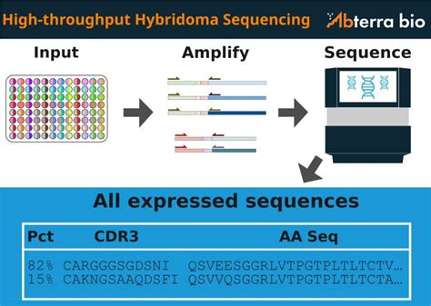 Abterra Biosciences On Linkedin Your Hybridoma Screen Worked Great And Now You Have 96 Clones To