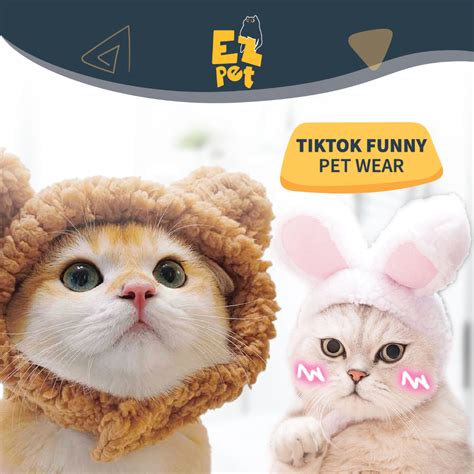 EZPET🐱Funny Pet Tik Tok Pet Clothes Pet Accessories Pet Hat Rabbit ...