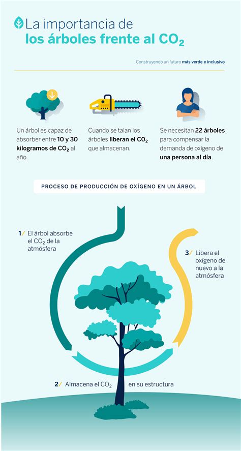 Qué es el dióxido de carbono CO2 y cómo impacta en el planeta