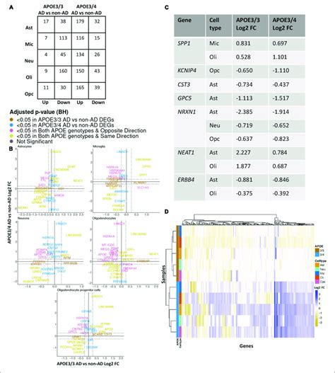 Apoe Genotype Stratified Cell Type Specific Disease Signatures In The