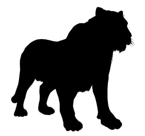 Tiger silhouette | Tiger silhouette, Animal silhouette, Tiger cartoon drawing