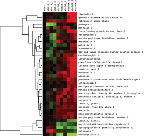 Putative Biomarker Genes Identified From Db Db Kidneys Sorted By