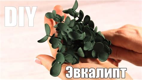 Веточки эвкалипта своими руками. Фоамиран. Декор дома | Diy, Plants