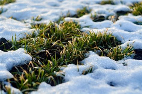 Causes Of Foundation Problems Part 3 Poor Soil Conditions