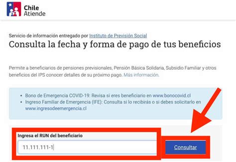 Revisa Con Tu Rut La Fecha De Tus Pagos De Beneficios Ips Nost Lgica Cl