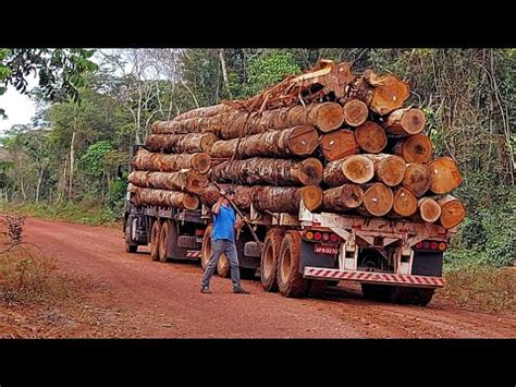 Carregamento dos caminhões 2638 e 3344 da Mercedes de madeira Mafia