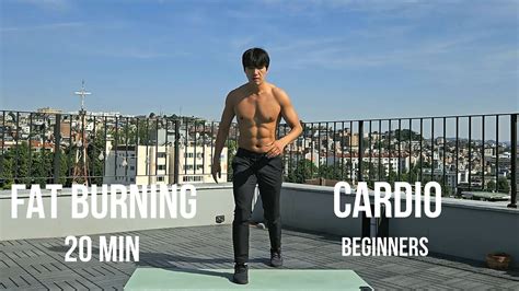 Min Fat Burning Cardio Home Workout For Beginners