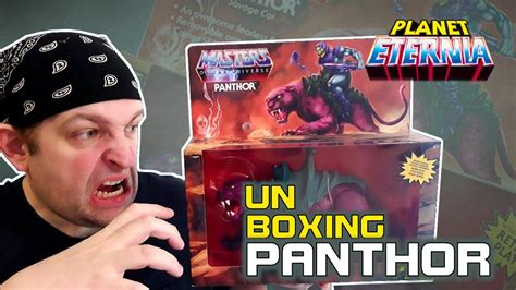 Unboxing Motu Origins Panthor Planeteternia Youtube