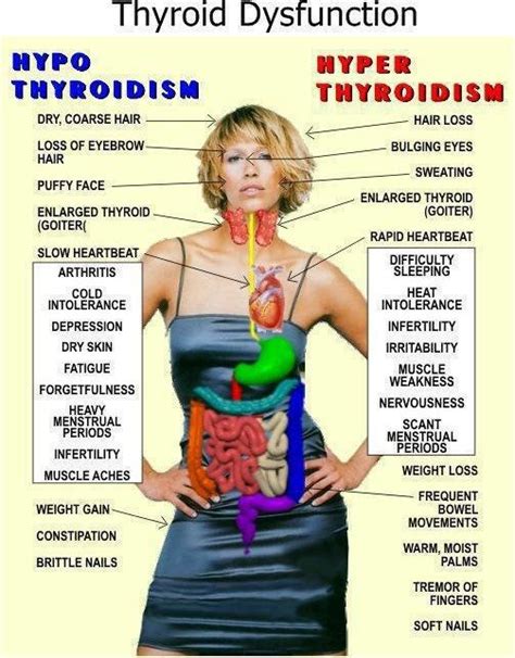 Hyper Vs Hypo Thyroid Disease Thyroid Thyroid Health