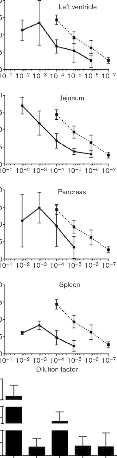 Analysis And Quantification Of Prion Seeding Activity In Various