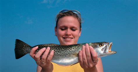 Trout Fishing In Florida Tips For Catching Speckled Sea Trout