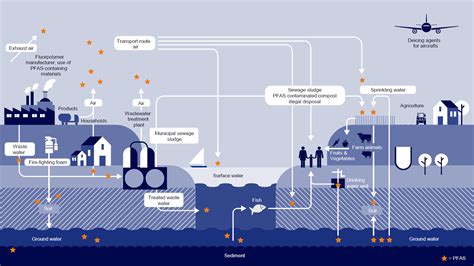 Analysis Of Pfas In Food Eurofins Scientific