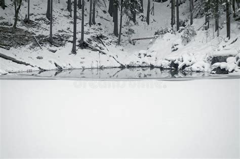 Eibsee Winter Stock Image Image Of Wood Forest Beautiful 49885095