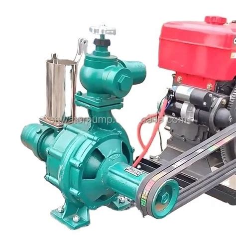 100bp 80 230 Double Impeller High Pressure Water Pump Agriculture Irrigation System Water Pump