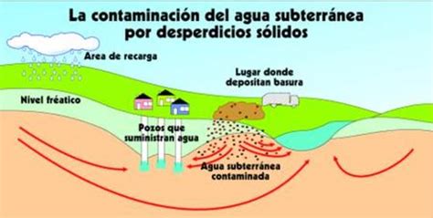 Contaminan Las Aguas Departamento De Ciencias Naturales