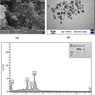 SEM A And TEM B Micrograph Of Green Synthesized AgNPs And EDX