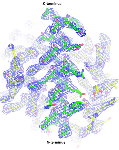 2fo Fc Electron Density Maps Of Cnp058bim Bh3 Domain Complex Electron