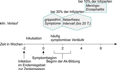 Fsme Fr Hsommer Meningoenzephalitis Ladr