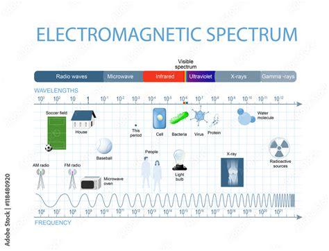 Electromagnetic spectrum Stock Vector | Adobe Stock 
