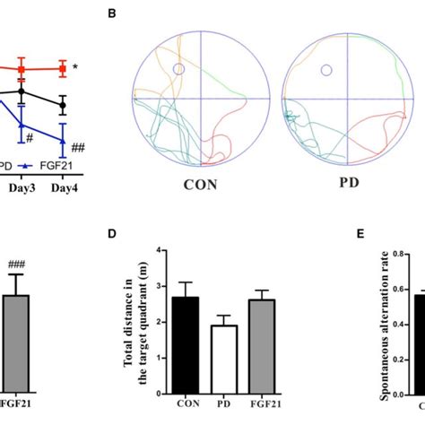 Fibroblast Growth Factor 21 Fgf21 Treatment Prevented The Motor