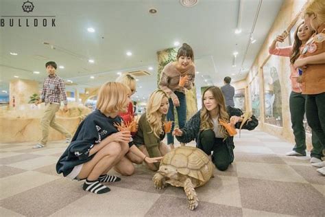 Bulldok Image 118104 Asiachan Kpop Image Board