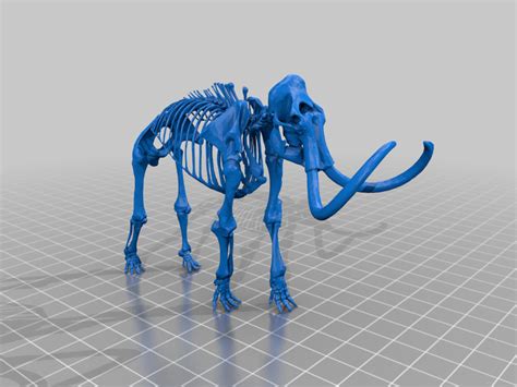 Free 3D file Woolly Mammoth Skeleton 🦣・3D printable object to download ...