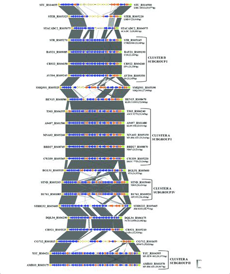 Multiple Sequence Alignment Of The Exopolysaccharide Eps Gene