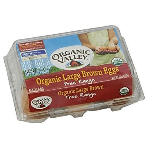 Organic Valley Eggs, Organic, Free-Range, Large | Organic Eggs | Fresh ...