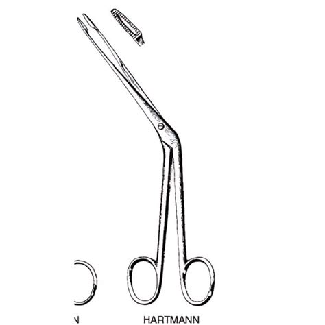 Ear Polypus Forceps Hartmann Cm Reda Instrumente Gmbh