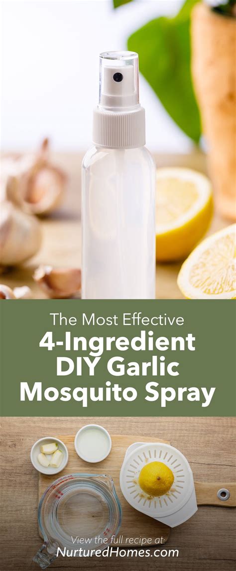 4-Ingredient Garlic Mosquito Spray (DIY Mosquito Repellent Recipe) - Nurtured Homes