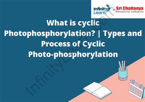 What is cyclic Photophosphorylation? | Types and Process of Cyclic ...